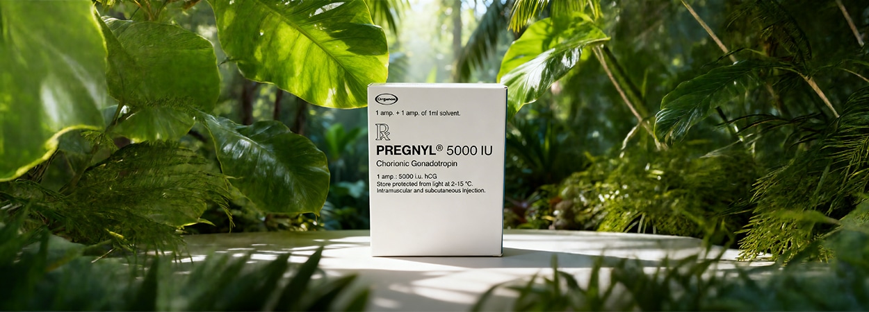 Pregnyl 5000 hCG injekció természetes környezetben a regeneráció támogatásához